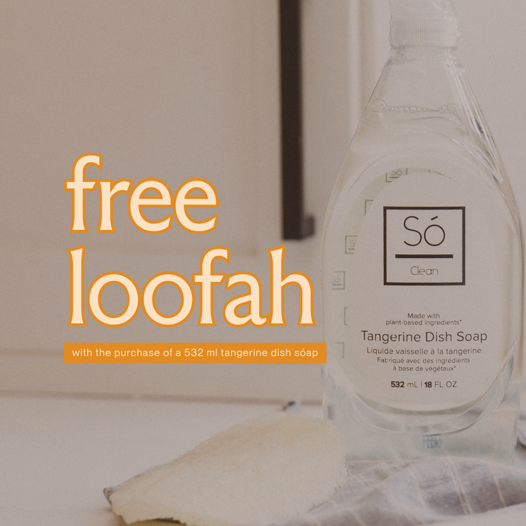 tangerine dish sóap + free loofah