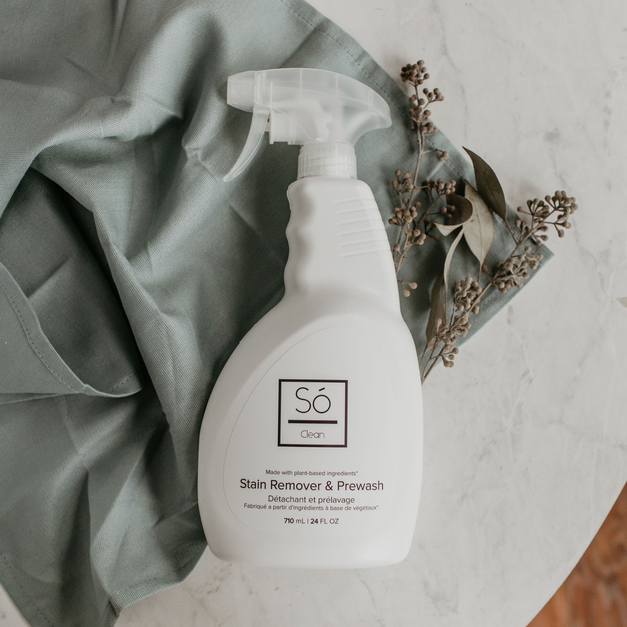 Clean - Stain Remover &amp; Prewash (Case)